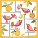  Birds & Oranges 